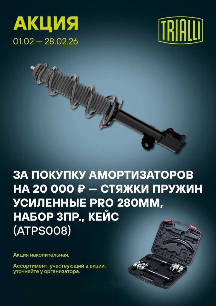 Trialli Амортизатор 02.26.jpg