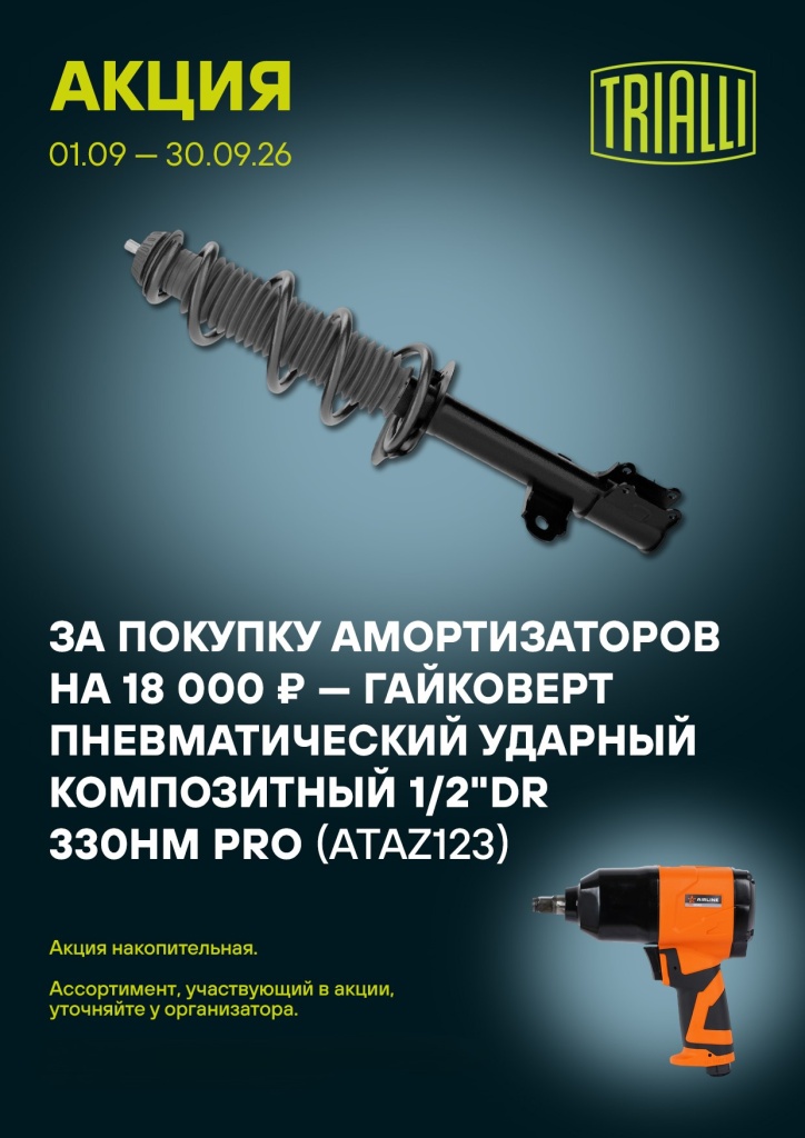 Trialli Амортизатор 09.26.jpg